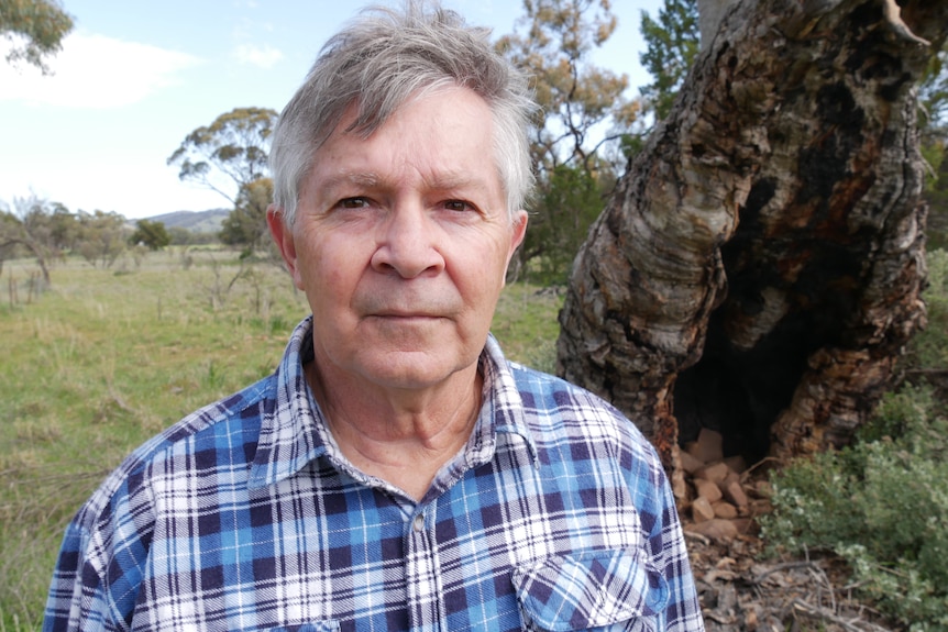 Indigenous elder Kym Thomas standing in green countryside. He is wearing a blue-checked shirt