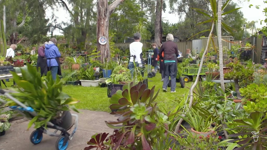 People in a backyard filled with plants for sale.