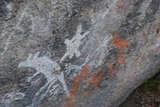 Indigenous rock art at Yankee Hat in Namadgi National Park