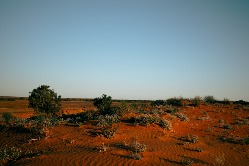 The outback dirt