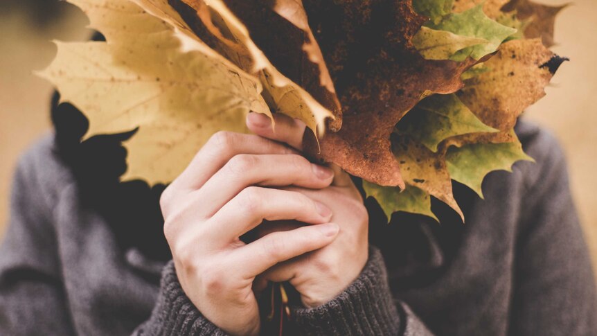 A woman hiding her face behind a big handful of autumn leaves.