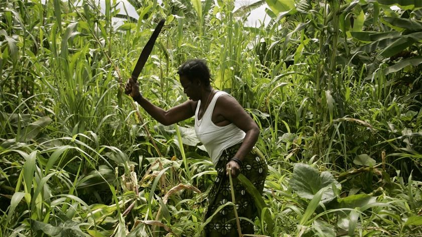 African woman farmer