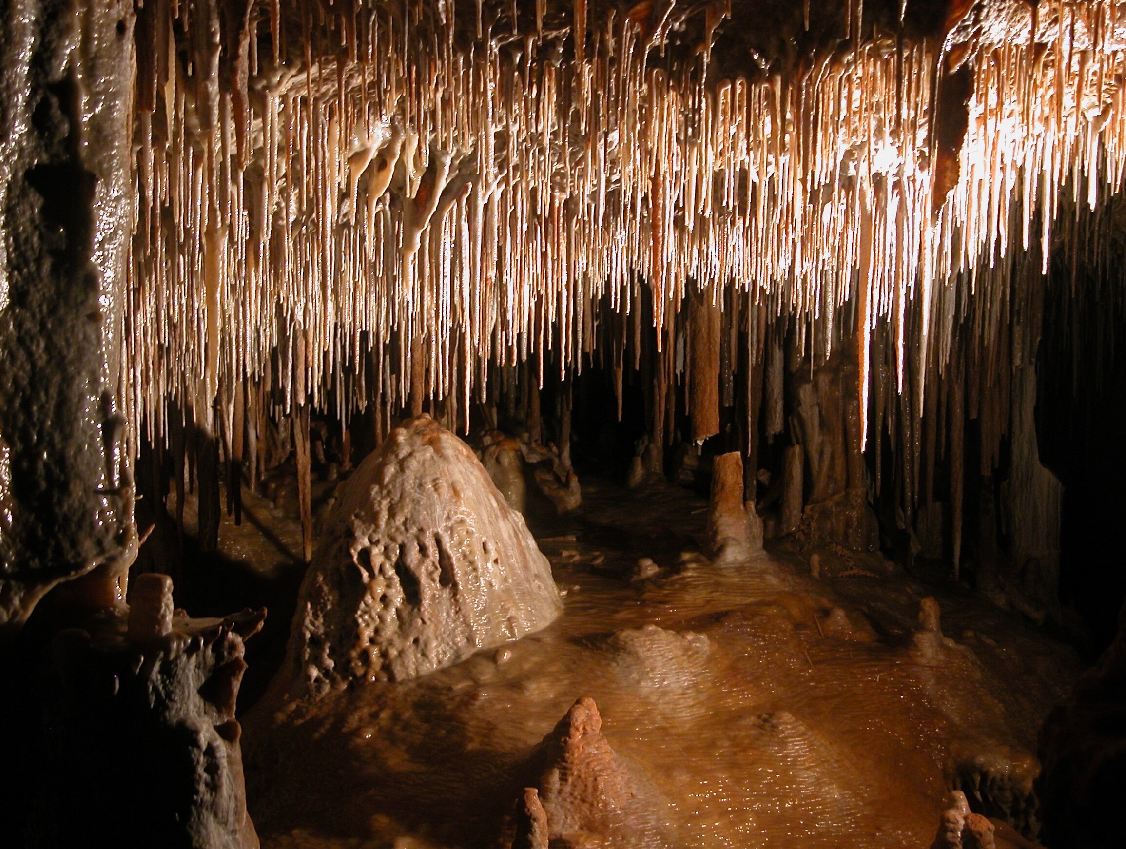 Stalactites on the roof of a cave.