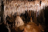 Stalactites on the roof of a cave.