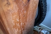 Mould grows on wood furniture.