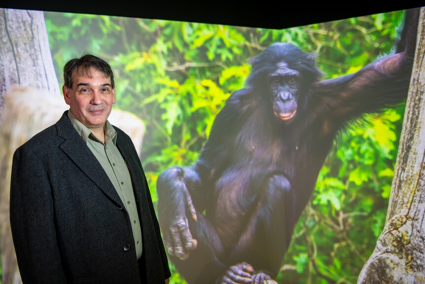Javaan Chahl stands in front of an image of a chimpanzee