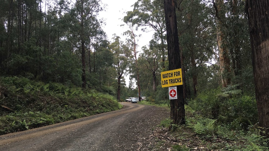 Low image of forestry with a sign on a tree stating 'watch out for log trucks'