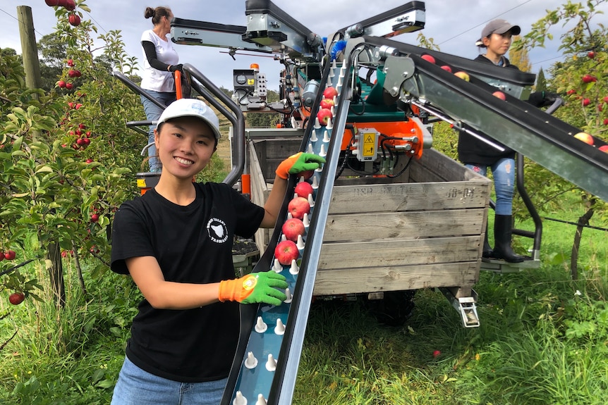 A Japanese woman smiles as she stands next to a mechanical contraption.