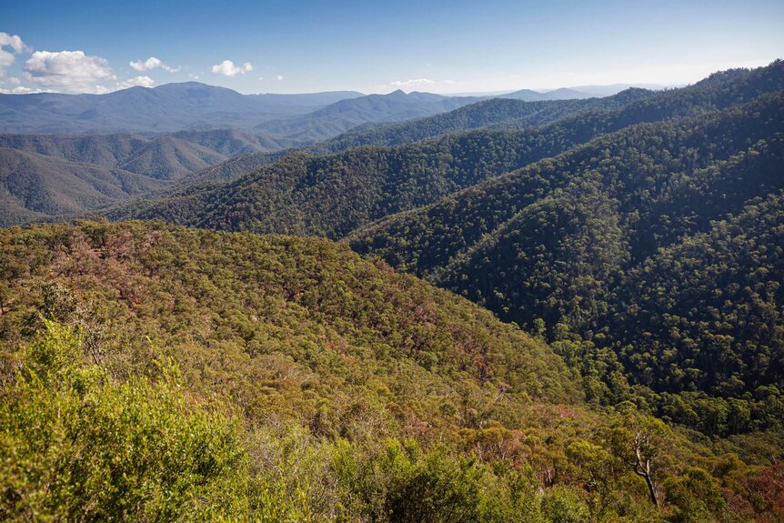 A panoramic view across mountains stretching all the way to the horizon in Victoria's central highlands