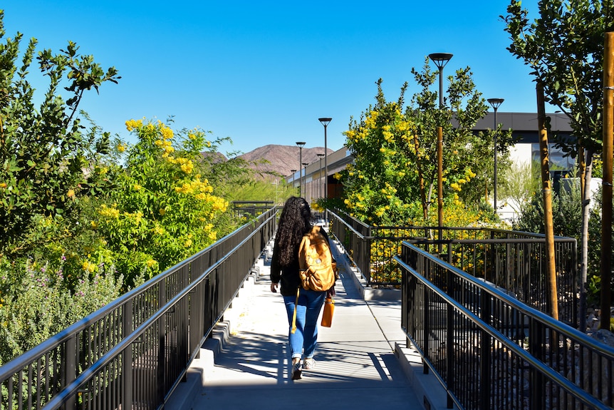 Amid wanders on a walkway with mountains in the background