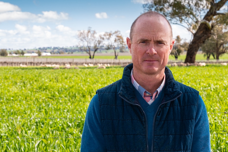 Hugh McLean standing in front of crop paddock.