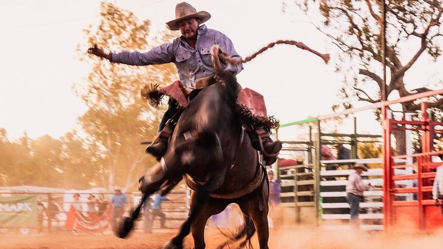 A man is riding a saddle bronc in a rodeo.