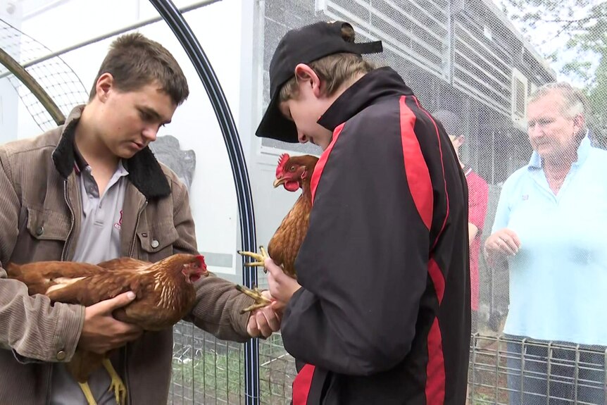 Two students hold a chicken each inspecting their feet.