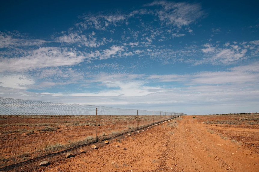 A long, straight fence running through arid, red country.