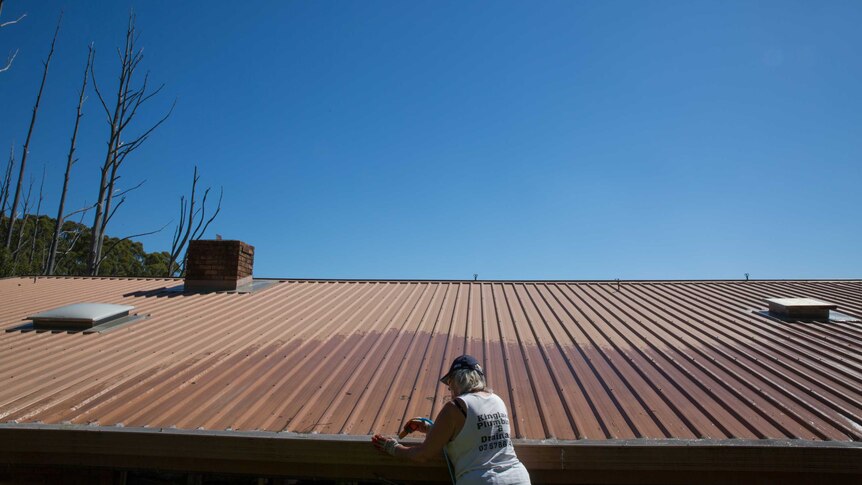 A woman on a ladder hoses out her gutters, stick-like trees burnt in Black Saturday visible beyond a sloping expanse of roof.