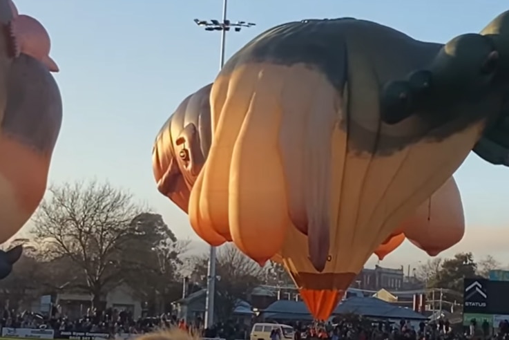 The Skywhale hot air balloon with two saggy breasts.