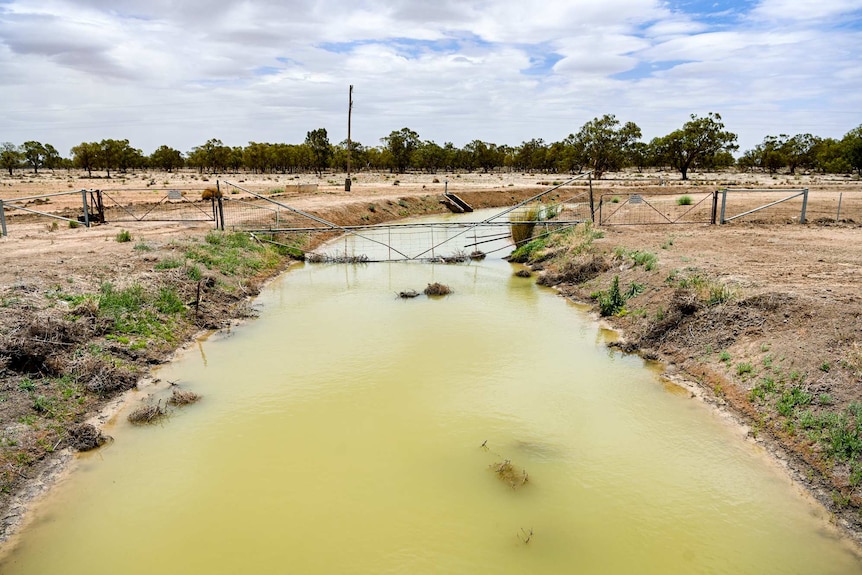 The green water of the Albert Priest Channel