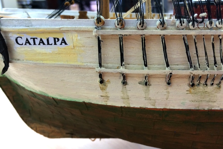 Bow of model ship with name Catalpa