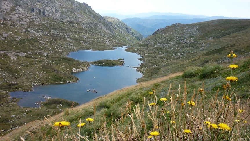 Lake Albina near Mt Kosciuszko.