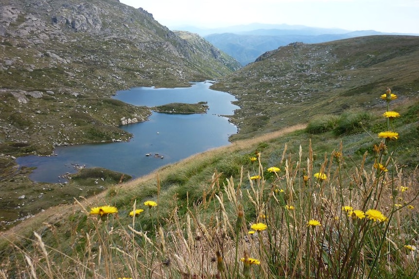 Lake Albina near Mt Kosciuszko.