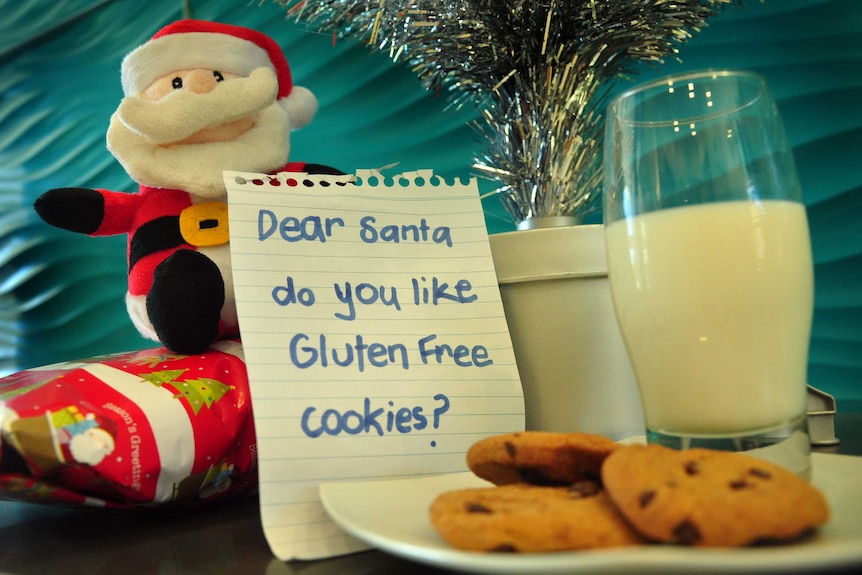 A plate of gluten free biscuits for Santa.