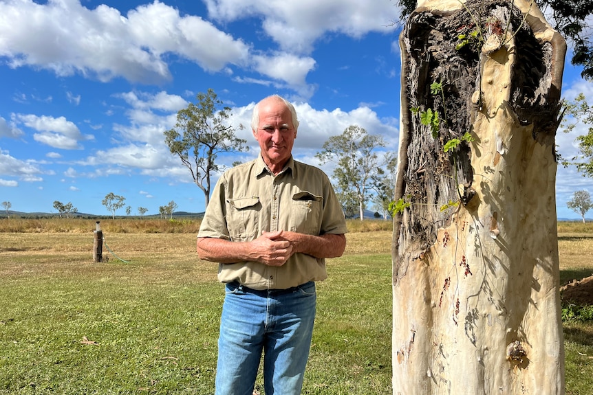 Burdekin cane and cattle farmer Don Heatley stands next to a tree in his green yard with a dry paddock in the background.