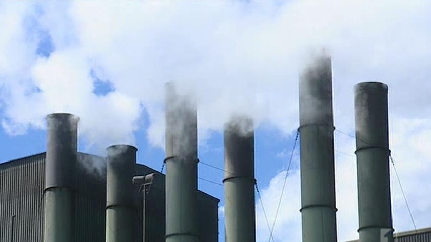 Carbon tax (7pm TV News WA)