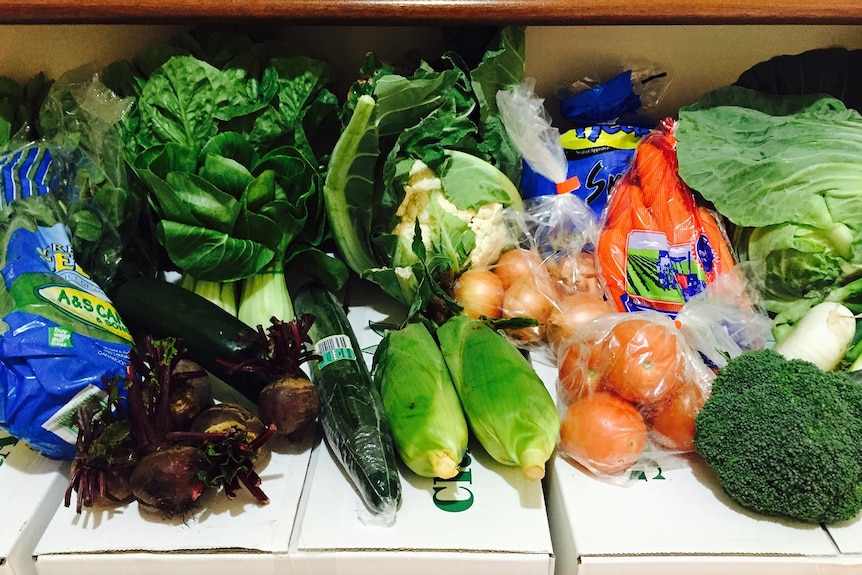 Mixed vegetables laid out on a box.