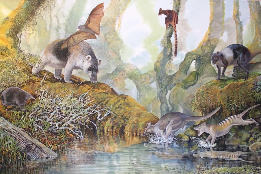 An illustration of megafauna.