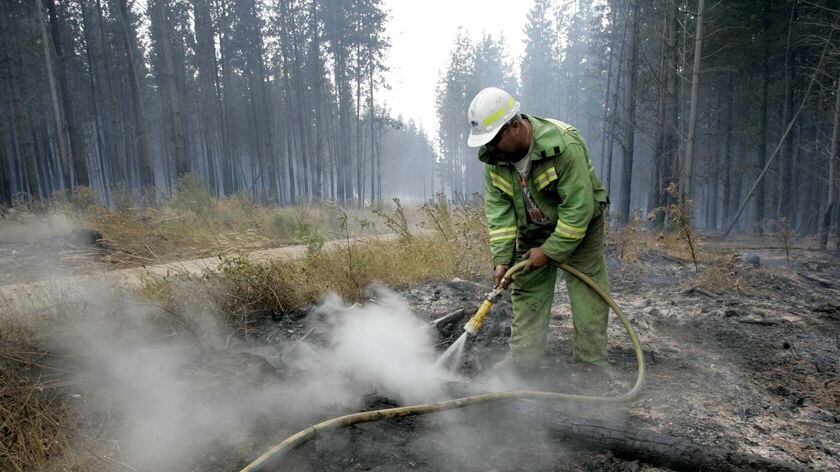 A Department of Sustainability and Environment firefighter 'blacks out' an area