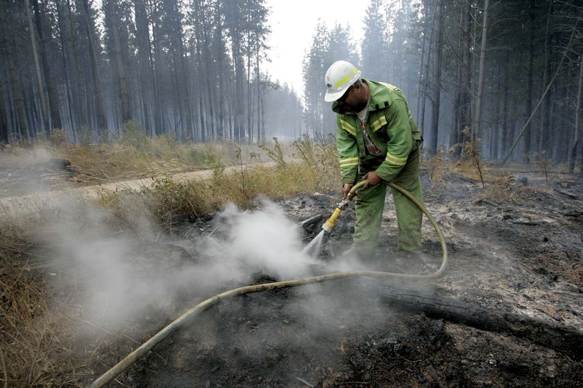 A Department of Sustainability and Environment firefighter 'blacks out' an area