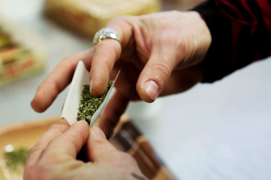 Two hands rolling a marijuana joint.