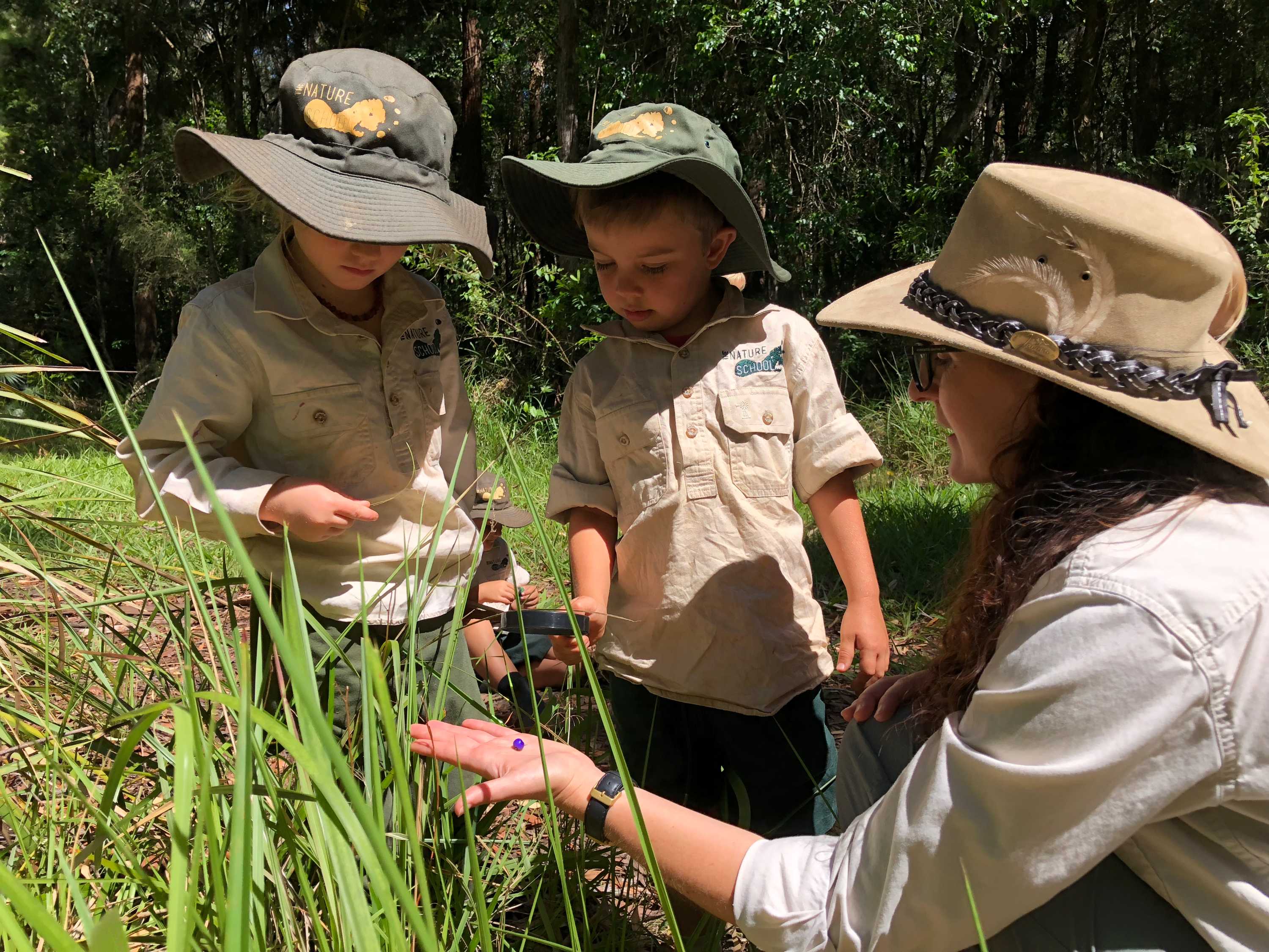 Unique nature primary school 'pioneers' new way forward for outdoor