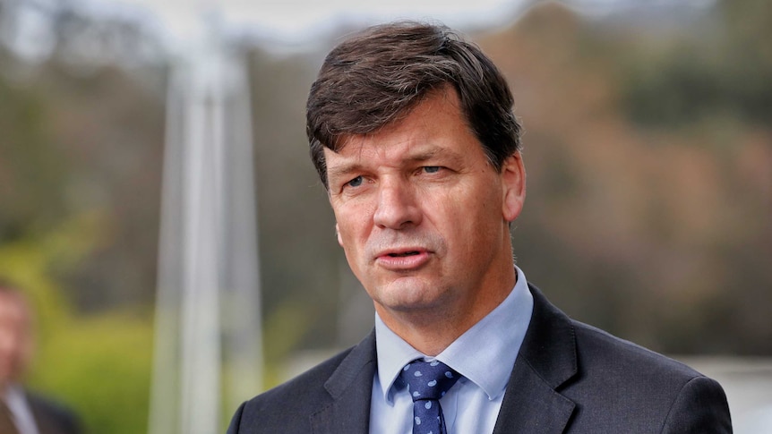 Hume Federal Liberal MP Angus Taylor speaking to reporters in Canberra.