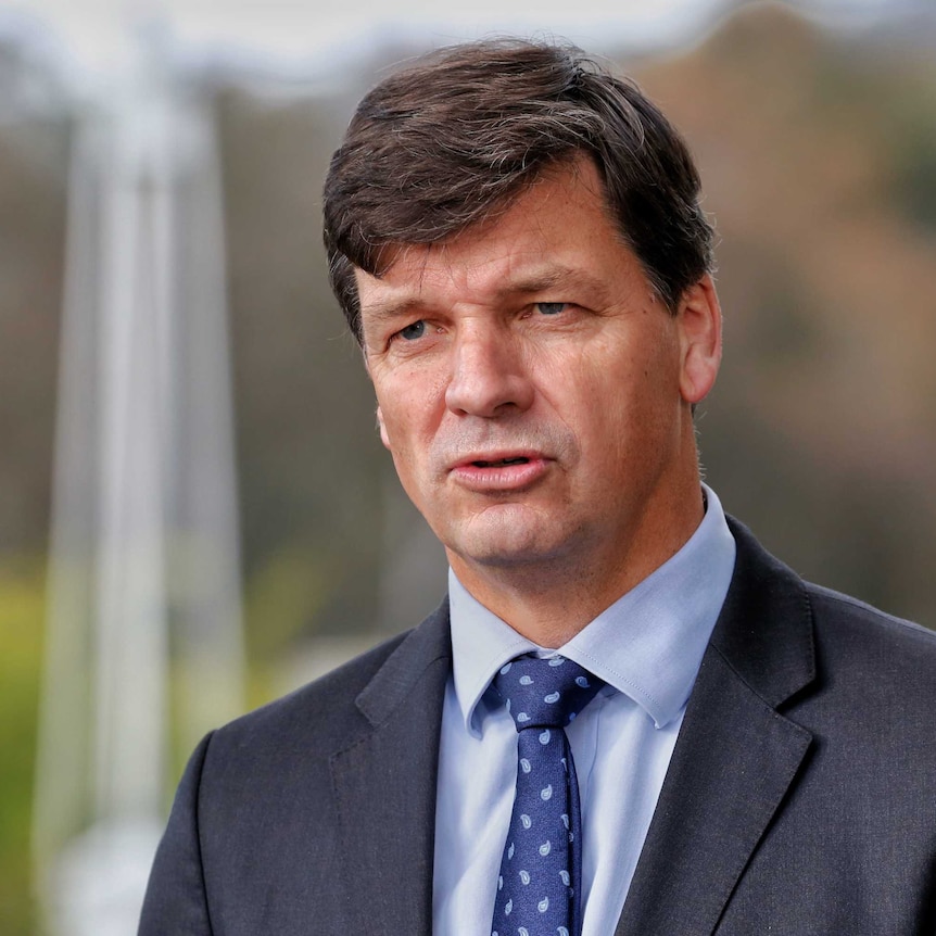 Hume Federal Liberal MP Angus Taylor speaking to reporters in Canberra.