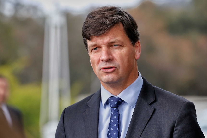 Hume Federal Liberal MP Angus Taylor speaking to reporters in Canberra.