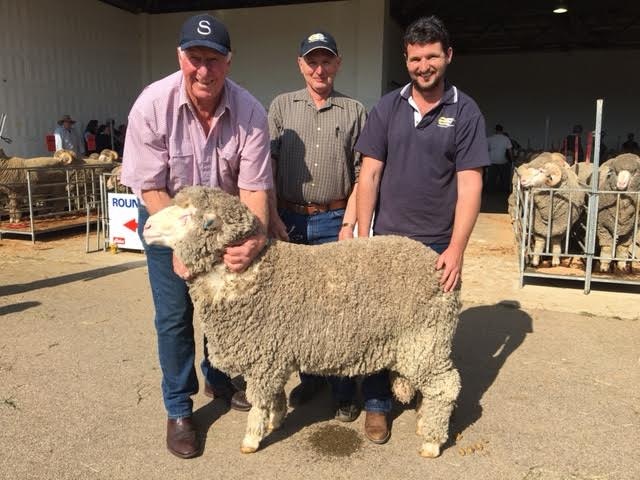 The seller and buyers of the Gippsland Merino Ram Sale top price ram stand together.