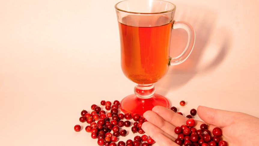 A glass mug of cranberry juice with cranberries scattered around it. The outstretched palm of a hand also holds cranberries.