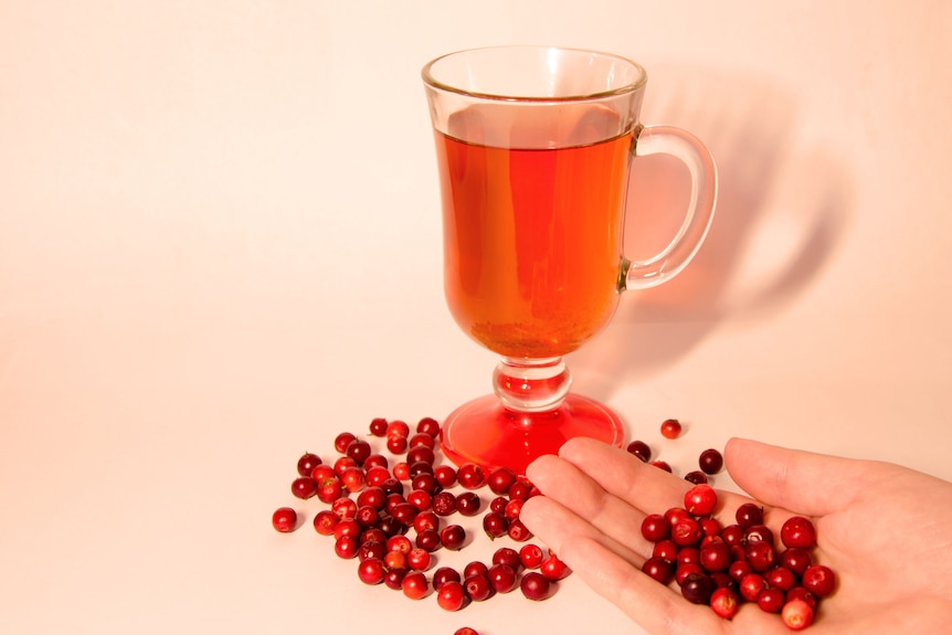 A glass mug of cranberry juice with cranberries scattered around it. The outstretched palm of a hand also holds cranberries.