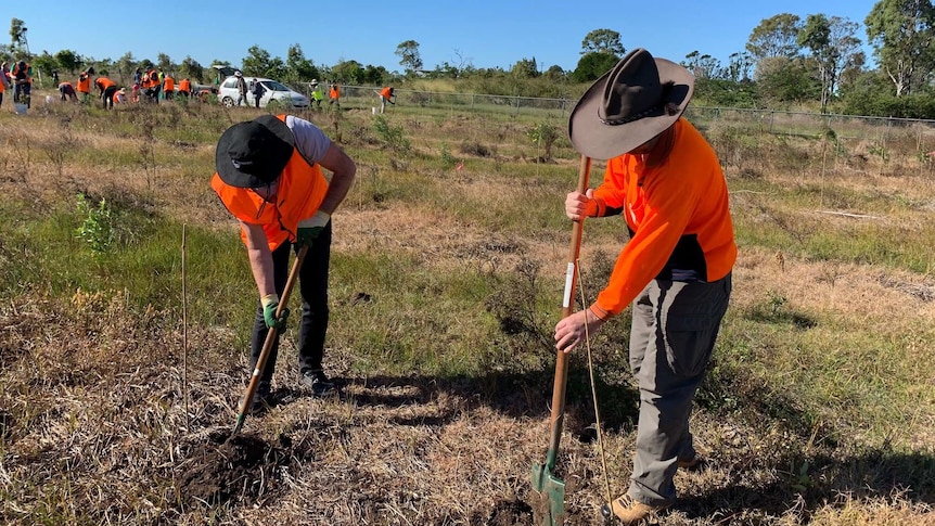 Volunteers, wearing high viz shirts, use shovels to dig holes for tree planting