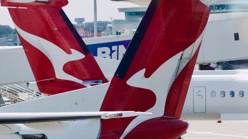 The tails of two Qantaslink airplanes at an airport.