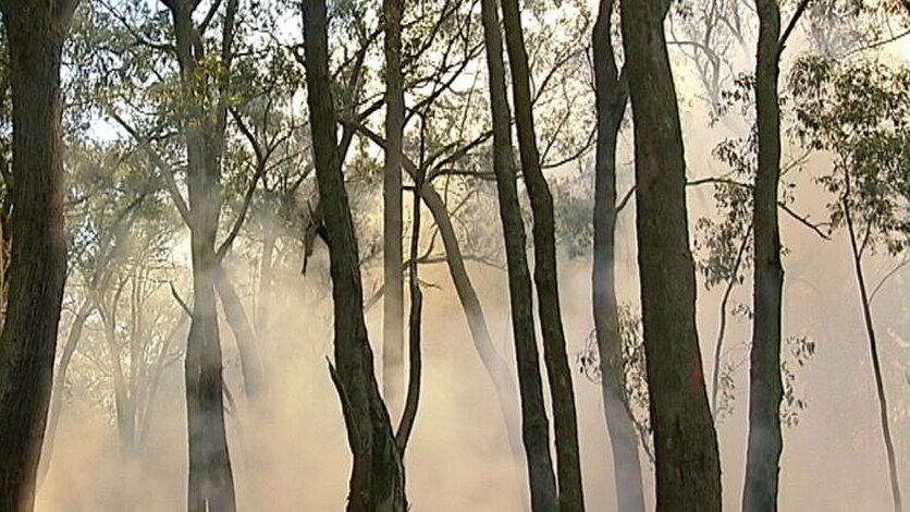 Commission lawyers have called for a five per cent target for fuel reduction burns.