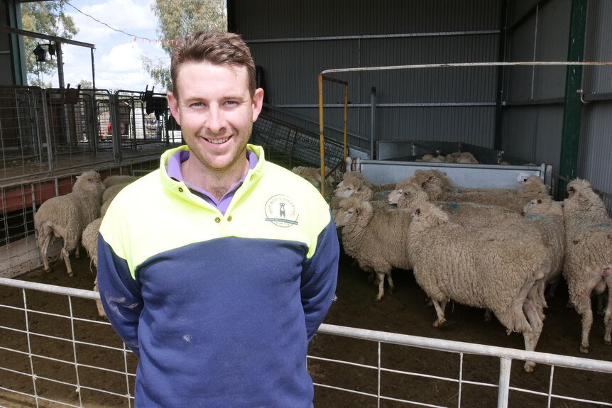 A man standing in front of fenced area of sheep