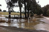 Chiltern in north east Victoria had flash flooding Sunday night, with over 90 millimetres recorded in some parts
