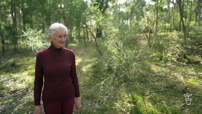 Woman smiling as she walks through native Australian bushland