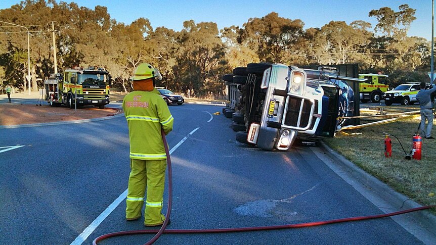 Traffic is being diverted down Anzac Parade while the animals are rescued.