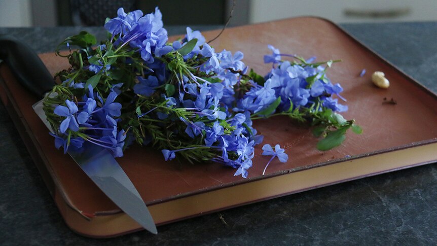 A bunch of lilac flowers on a brown chopping board laying next to a black-handled knife.
