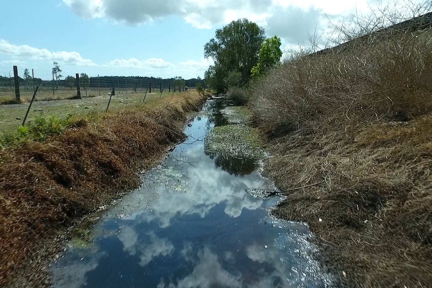 Dawson's Drain in Williamtown