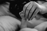 a black and white photograph shoes a mother's hand holding the tiny hand of a baby