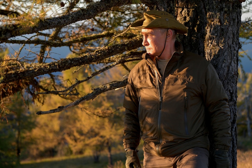Putin poses against a tree, dressed in outdoorsy clothing
